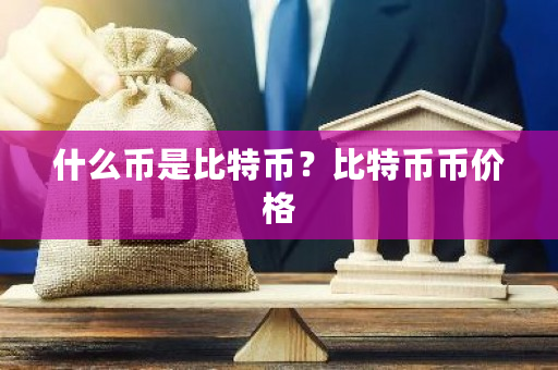 什么币是比特币？比特币币价格-第1张图片-ZBLOG