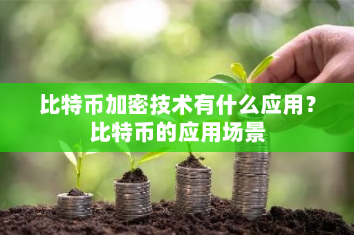 比特币加密技术有什么应用？比特币的应用场景-第1张图片-ZBLOG