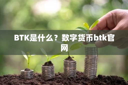 BTK是什么？数字货币btk官网-第1张图片-ZBLOG