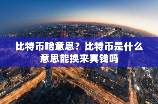 比特币啥意思？比特币是什么意思能换来真钱吗-第1张图片-ZBLOG