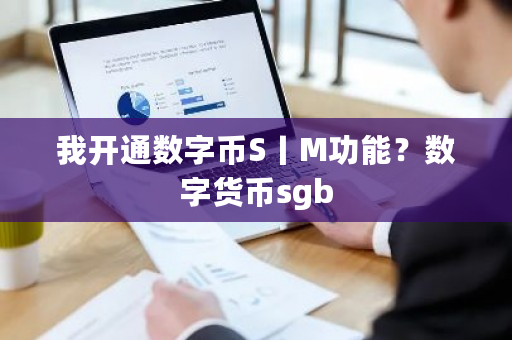 我开通数字币S丨M功能？数字货币sgb-第1张图片-ZBLOG