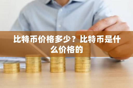 比特币价格多少？比特币是什么价格的-第1张图片-ZBLOG