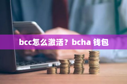 bcc怎么激活？bcha 钱包-第1张图片-ZBLOG