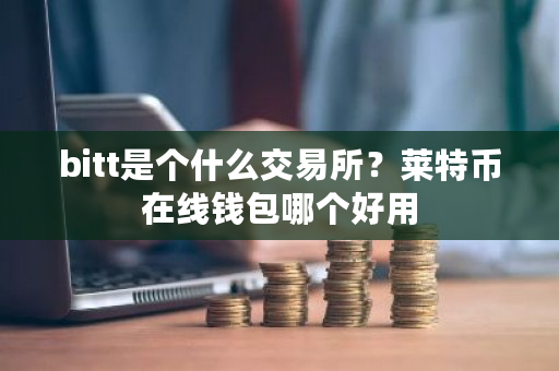 bitt是个什么交易所？莱特币在线钱包哪个好用-第1张图片-ZBLOG