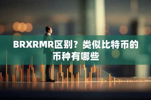 BRXRMR区别？类似比特币的币种有哪些-第1张图片-ZBLOG