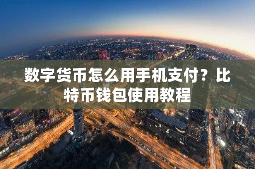 数字货币怎么用手机支付?比特币钱包使用教程-第1张图片-ZBLOG 数字货币怎么用手机支付?比特币钱包使用教程-第1张图片-ZBLOG