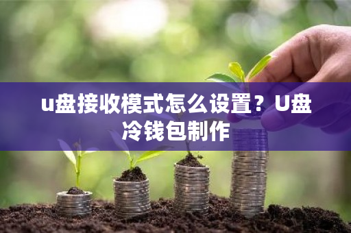 u盘接收模式怎么设置？U盘冷钱包制作-第1张图片-ZBLOG