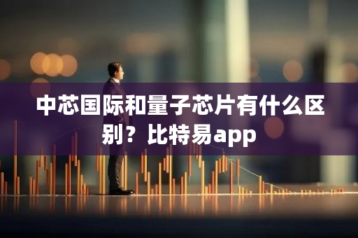 中芯国际和量子芯片有什么区别？比特易app-第1张图片-ZBLOG