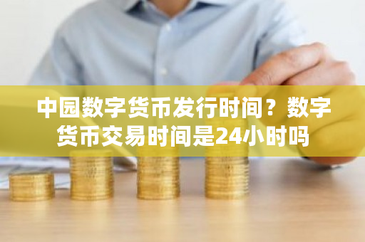 中园数字货币发行时间?数字货币交易时间是24小时吗-第1张图片-ZBLOG 中园数字货币发行时间?数字货币交易时间是24小时吗-第1张图片-ZBLOG