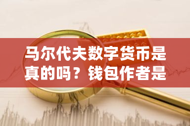 马尔代夫数字货币是真的吗？钱包作者是谁-第1张图片-ZBLOG