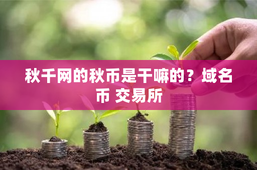 秋千网的秋币是干嘛的？域名币 交易所-第1张图片-ZBLOG