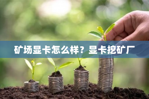 矿场显卡怎么样？显卡挖矿厂-第1张图片-ZBLOG