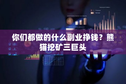 你们都做的什么副业挣钱？熊猫挖矿三巨头-第1张图片-ZBLOG