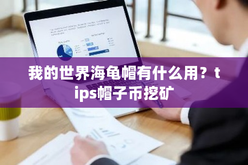 我的世界海龟帽有什么用？tips帽子币挖矿-第1张图片-ZBLOG