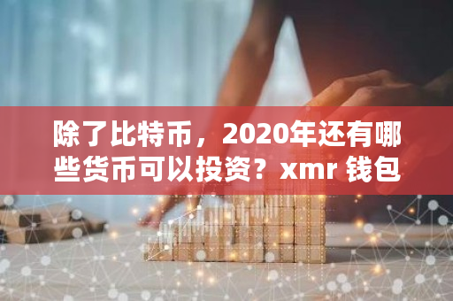 除了比特币，2020年还有哪些货币可以投资？xmr 钱包-第1张图片-ZBLOG