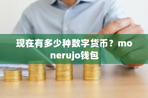 现在有多少种数字货币？monerujo钱包-第1张图片-ZBLOG