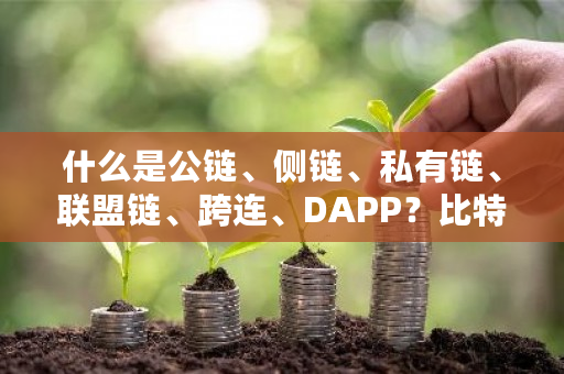 什么是公链、侧链、私有链、联盟链、跨连、DAPP？比特币 侧链-第1张图片-ZBLOG