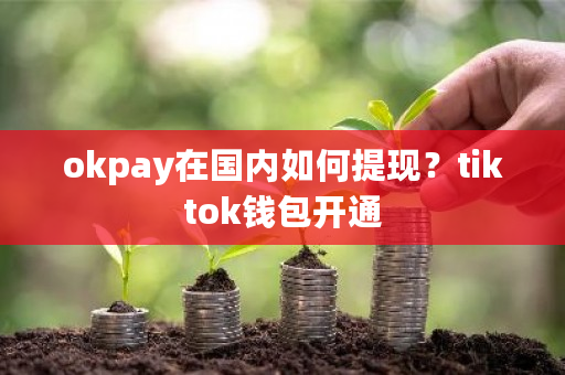 okpay在国内如何提现？tiktok钱包开通-第1张图片-ZBLOG