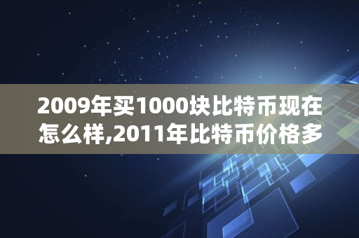 2009年买1000块比特币现在怎么样,2011年比特币价格多少钱一个