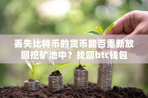 丢失比特币的货币能否重新放回挖矿池中？找回btc钱包-第1张图片-ZBLOG