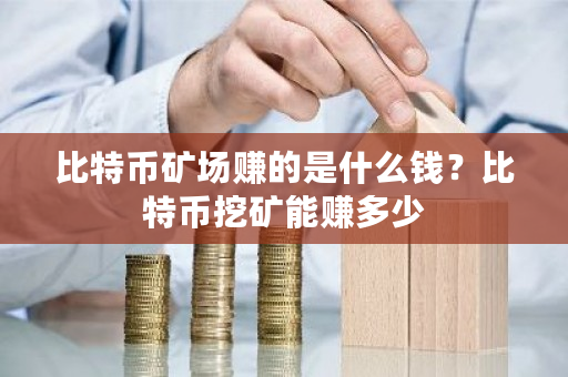 比特币矿场赚的是什么钱？比特币挖矿能赚多少-第1张图片-ZBLOG