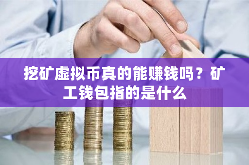 挖矿虚拟币真的能赚钱吗？矿工钱包指的是什么-第1张图片-ZBLOG