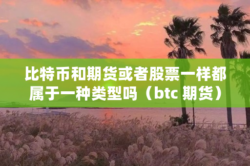 比特币和期货或者股票一样都属于一种类型吗（btc 期货）