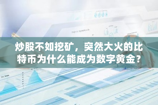 炒股不如挖矿，突然大火的比特币为什么能成为数字黄金？比特币烤猫去了哪里-第1张图片-ZBLOG