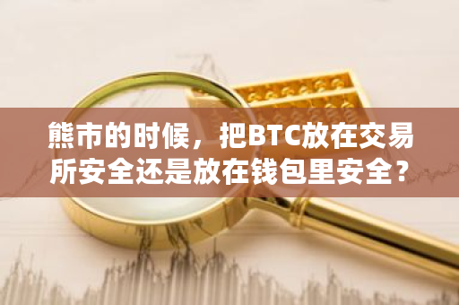 熊市的时候，把BTC放在交易所安全还是放在钱包里安全？对此你怎么看？btc钱包官方-第1张图片-ZBLOG