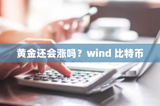 黄金还会涨吗？wind 比特币-第1张图片-ZBLOG