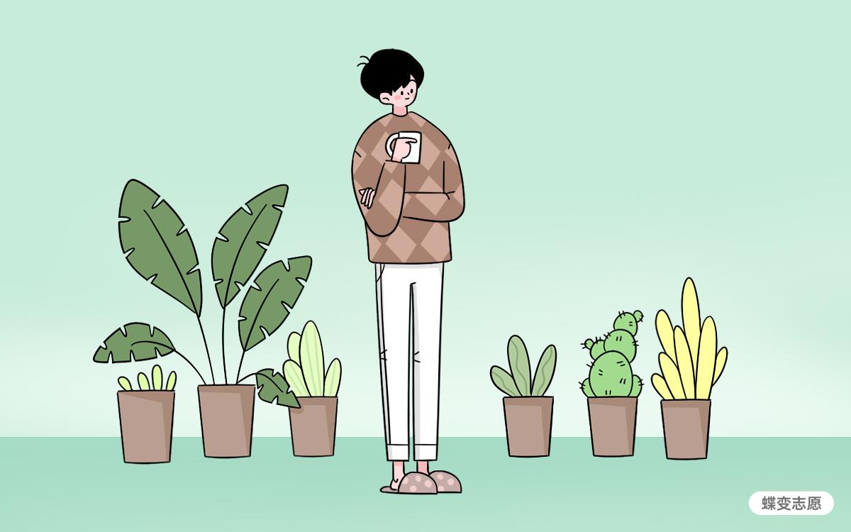 优师计划是什么？到底值不值得报考？