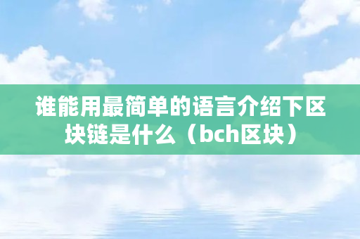 谁能用最简单的语言介绍下区块链是什么（bch区块）