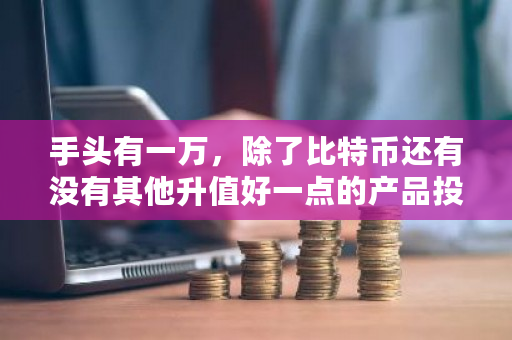 手头有一万，除了比特币还有没有其他升值好一点的产品投资？怎么淘比特币充值-第1张图片-ZBLOG