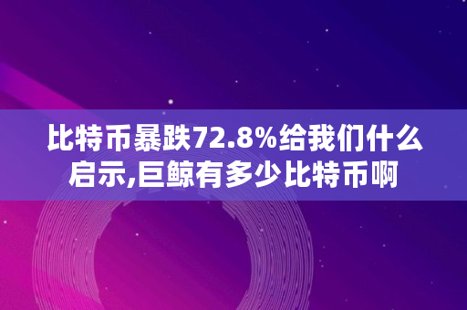 比特币暴跌72.8%给我们什么启示,巨鲸有多少比特币啊