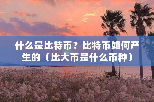 什么是比特币？比特币如何产生的（比大币是什么币种）