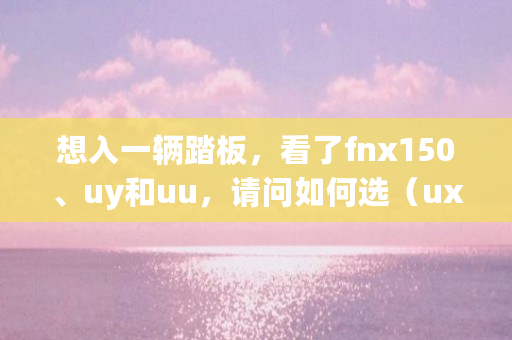 想入一辆踏板，看了fnx150、uy和uu，请问如何选（ux是什么软件）