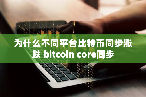 为什么不同平台比特币同步涨跌 bitcoin core同步