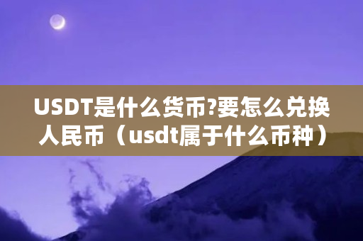 USDT是什么货币?要怎么兑换人民币（usdt属于什么币种）