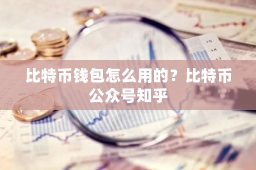 比特币钱包怎么用的？比特币公众号知乎-第1张图片-ZBLOG