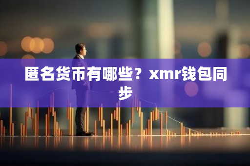 匿名货币有哪些？xmr钱包同步-第1张图片-ZBLOG