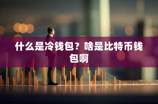 什么是冷钱包？啥是比特币钱包啊-第1张图片-ZBLOG