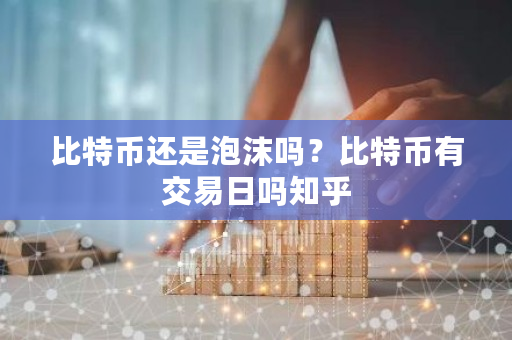 比特币还是泡沫吗？比特币有交易日吗知乎-第1张图片-ZBLOG