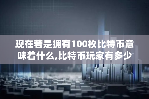 现在若是拥有100枚比特币意味着什么,比特币玩家有多少个