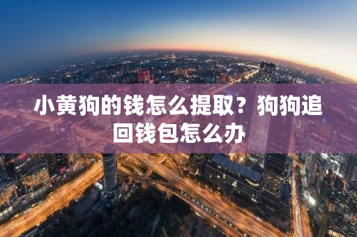 小黄狗的钱怎么提取？狗狗追回钱包怎么办-第1张图片-ZBLOG