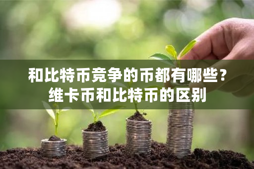 和比特币竞争的币都有哪些？维卡币和比特币的区别-第1张图片-ZBLOG