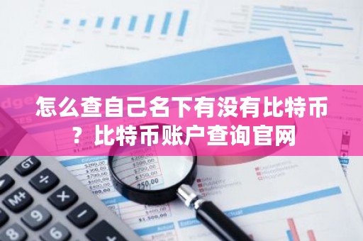 怎么查自己名下有没有比特币？比特币账户查询官网-第1张图片-ZBLOG