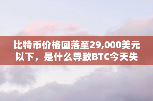 比特币价格回落至29,000美元以下，是什么导致BTC今天失去动力（btc所有行情）