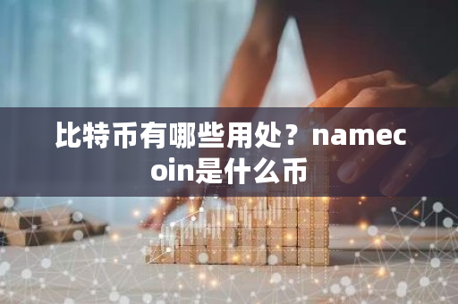 比特币有哪些用处？namecoin是什么币-第1张图片-ZBLOG