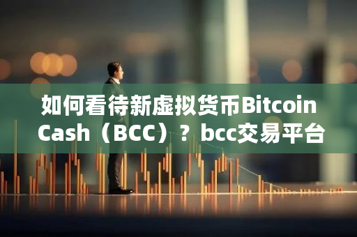 如何看待新虚拟货币Bitcoin Cash（BCC）？bcc交易平台下载-第1张图片-ZBLOG