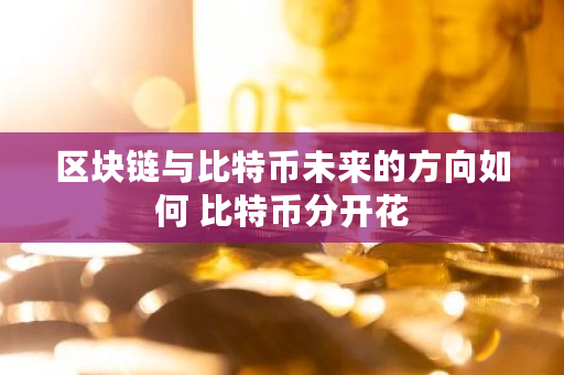 区块链与比特币未来的方向如何 比特币分开花